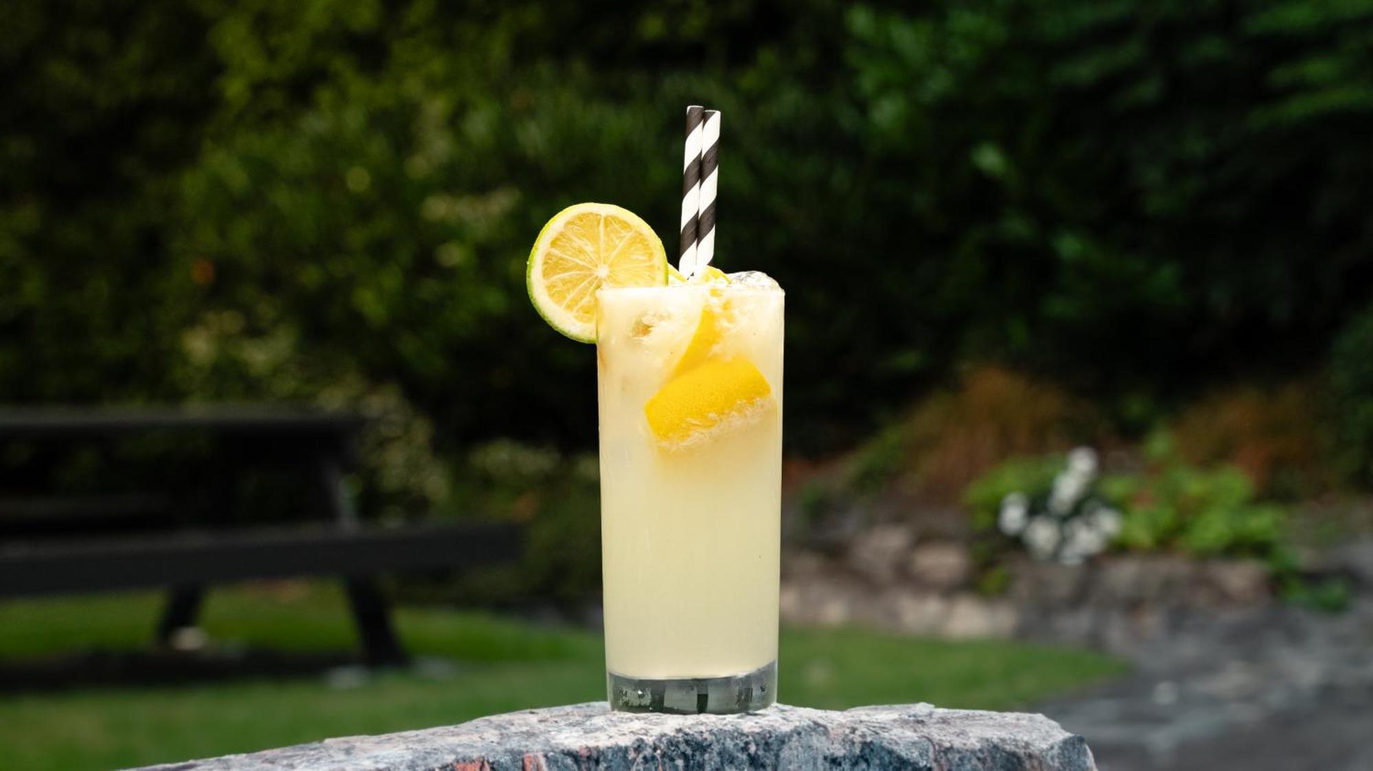 Sandymount Hotel Dublin Zewnętrze zdjęcie